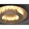 Paul Neuhaus NEVIS Ceiling Light LED gold, 1-light source