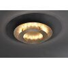 Paul Neuhaus NEVIS Ceiling Light LED gold, 1-light source