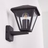 Malmberget Outdoor Wall Light transparent, 1-light source