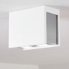 Braslo Ceiling Light chrome, white, 2-light sources