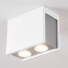 Braslo Ceiling Light chrome, white, 2-light sources