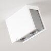 Braslo Ceiling Light chrome, white, 2-light sources