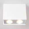 Braslo Ceiling Light chrome, white, 2-light sources