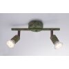 Globo OLANA Spotlight green, rust-coloured, 2-light sources