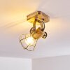 Nifun Ceiling Light brown, green, 1-light source