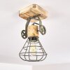Nifun Ceiling Light brown, green, 1-light source