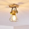 Nifun Ceiling Light brown, green, 1-light source