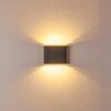 Outdoor Wall Light Tinglev LED anthracite, 2-light sources