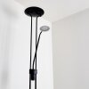 ABIQUA Floor Lamp LED black, 2-light sources