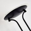 ABIQUA Floor Lamp LED black, 2-light sources