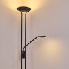 ABIQUA Floor Lamp LED black, 2-light sources