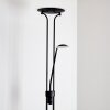 ABIQUA Floor Lamp LED black, 2-light sources