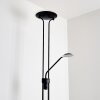 ABIQUA Floor Lamp LED black, 2-light sources