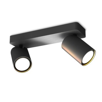 Ceiling Light Mantra SAL BLACK black, 2-light sources