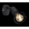 Globo XARA I Spotlight black, 1-light source
