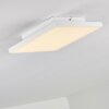 Bankura Ceiling Light LED white, 1-light source