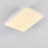 Bankura Ceiling Light LED white, 1-light source