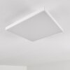 Bankura Ceiling Light LED white, 1-light source