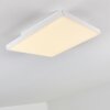 Bankura Ceiling Light LED white, 1-light source