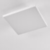 Bankura Ceiling Light LED white, 1-light source