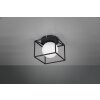 Wall Light Reality GABBIA black, 1-light source