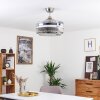 BENDIGO ceiling fan LED matt nickel, transparent, clear, 1-light source