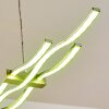 Gamsen Pendant Light LED brushed steel, 3-light sources, Remote control, Colour changer