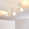 Tina Ceiling Light white, 3-light sources