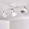Tina Ceiling Light white, 3-light sources