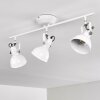 Tina Ceiling Light white, 3-light sources