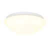 Steinhauer Lotti Ceiling Light LED white, 1-light source