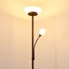GISMARO Floor Lamp rust-coloured, 3-light sources