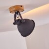 Svankfolk Ceiling Light Light wood, 1-light source