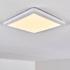 Siguna Ceiling Light LED white, 1-light source