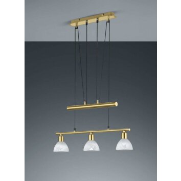 Trio LEVISTO hanging light LED brass, 3-light sources
