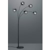 Trio BALINI Floor Lamp LED anthracite, 5-light sources