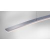 Pendant Light Paul Neuhaus JANINA LED stainless steel, 1-light source