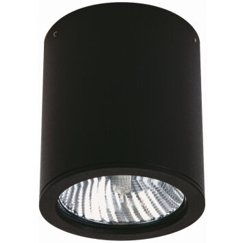 Albert 2130 ceiling light black, 1-light source