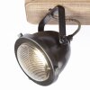 Brilliant CARMEN WOOD SpotLight stainless steel, 2-light sources
