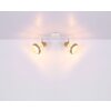 Globo WIDY Spotlight white, 2-light sources