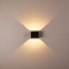 Chuitna Wall Light LED black, 2-light sources