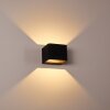 Chuitna Wall Light LED black, 2-light sources