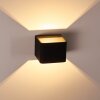 Chuitna Wall Light LED black, 2-light sources