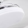 BENDIGO ceiling fan LED chrome, transparent, clear, white, 1-light source