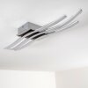 Trio CATOKI ceiling light LED chrome, 1-light source