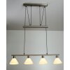 Trio 3751 pendant light stainless steel, matt nickel, 4-light sources