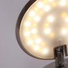 Steinhauer ZENITH Wall Light LED stainless steel, 1-light source