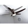 Globo FABIOLA fan stainless steel, matt nickel, 1-light source, Remote control