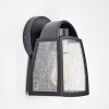 Trosa Outdoor Wall Light black, 1-light source
