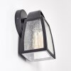 Trosa Outdoor Wall Light black, 1-light source